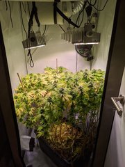 IMG_20201016_163329.jpg