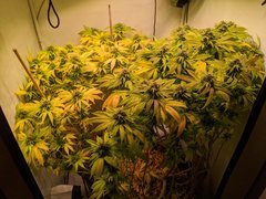 IMG_20201016_163341.jpg