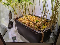 IMG_20201016_163556.jpg