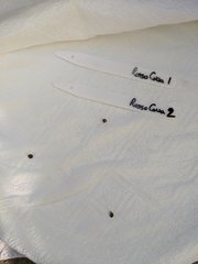 IMG_20201017_111832.jpg