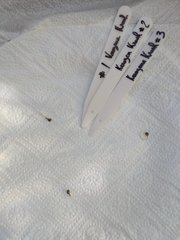 IMG_20201017_112203.jpg