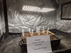 IMG_20201017_113141.jpg
