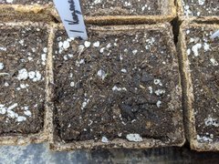 IMG_20201018_110810.jpg