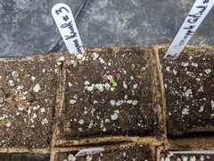 IMG_20201018_110817.jpg