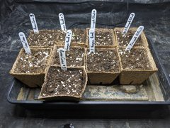 IMG_20201018_120443.jpg
