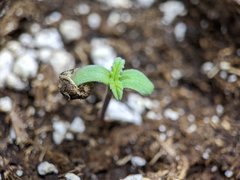 IMG_20201019_121656.jpg
