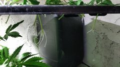 IMG_20201019_152259696.jpg