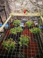 IMG_20201019_202934.jpg