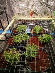 IMG_20201019_202936.jpg