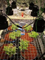 IMG_20201019_203323.jpg