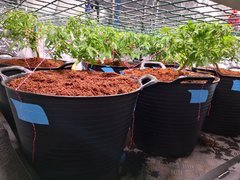 IMG_20201019_203653.jpg