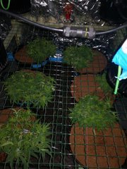 IMG_20201022_135814.jpg
