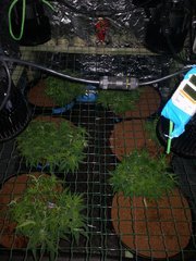 IMG_20201022_135821.jpg