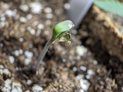 IMG_20201023_104147.jpg