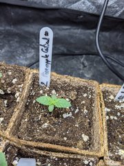 IMG_20201023_104900.jpg