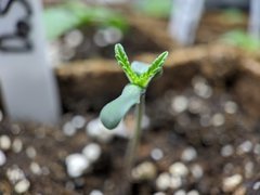 IMG_20201024_092043.jpg