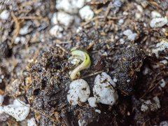 IMG_20201024_092221.jpg