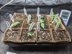 IMG_20201024_092235.jpg
