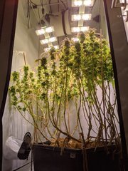 IMG_20201024_094616.jpg