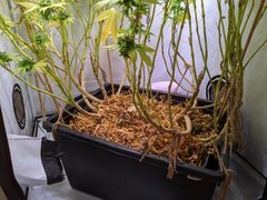 IMG_20201024_094643.jpg