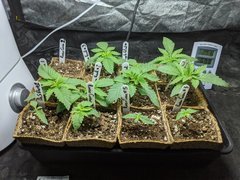 IMG_20201028_085509.jpg