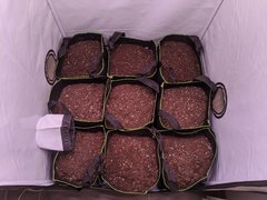 IMG_20201031_123849.jpg