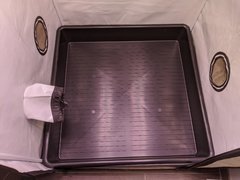 IMG_20201031_130602.jpg