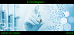 genetiques.jpeg