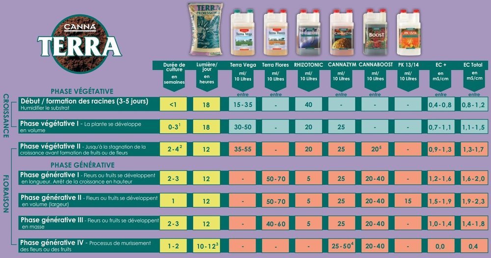 tableau canna1.jpg