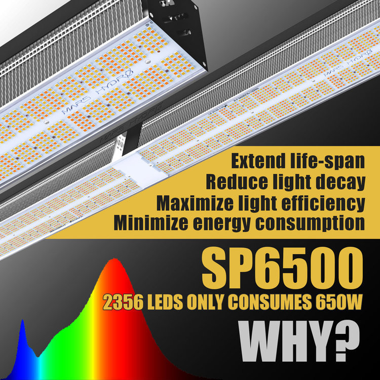 SP6500-Why 2356leds only consumes 650w.jpg