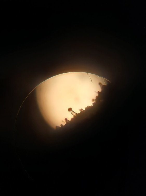20201105_193936.jpg