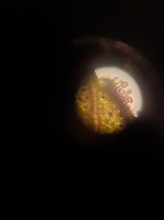 20201105_200713.jpg