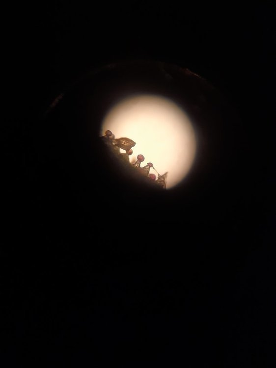 20201105_200816.jpg