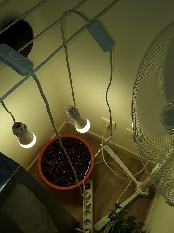 20201129_154704.jpg