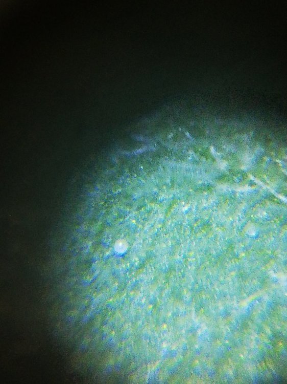 IMG_20201112_191408.jpg