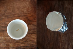 germi step 1.JPG
