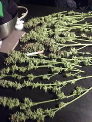 20160308_020453.jpg