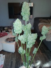20160310_131425.jpg