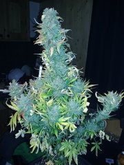 20160314_230943.jpg