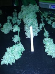 20160315_014814.jpg