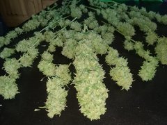 20160317_135152.jpg