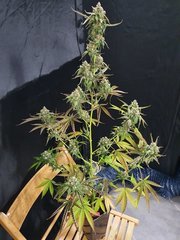 20201005_180536.jpg