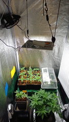 20201104_173353.jpg