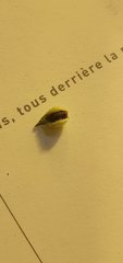20201106_002211.jpg