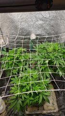 20201106_085350.jpg