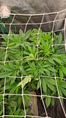 20201106_085407.jpg