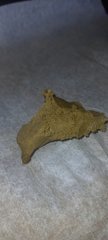 20201108_142941.jpg