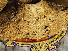IMG-20201108-WA0006.jpg
