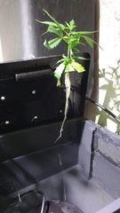IMG_20201103_160126762.jpg