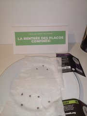 Germination